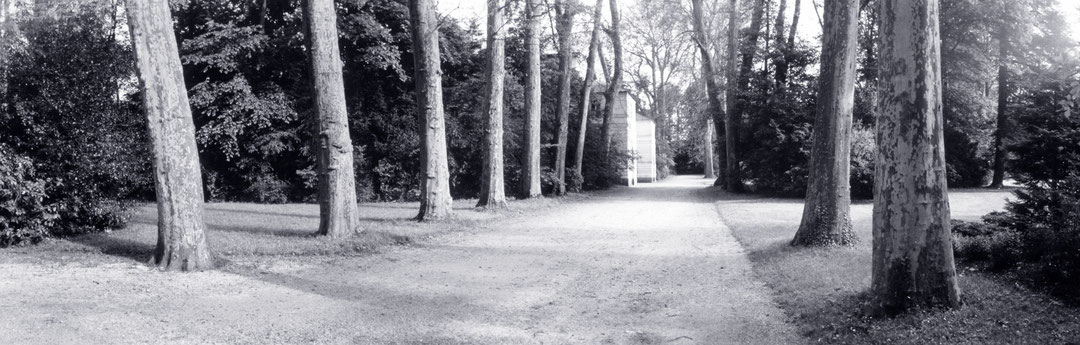 Photo de l’œuvre Fontainebleau (tirée de l’album « French Gardens », 1981) de Geoffrey James (Afficher en plein écran)
