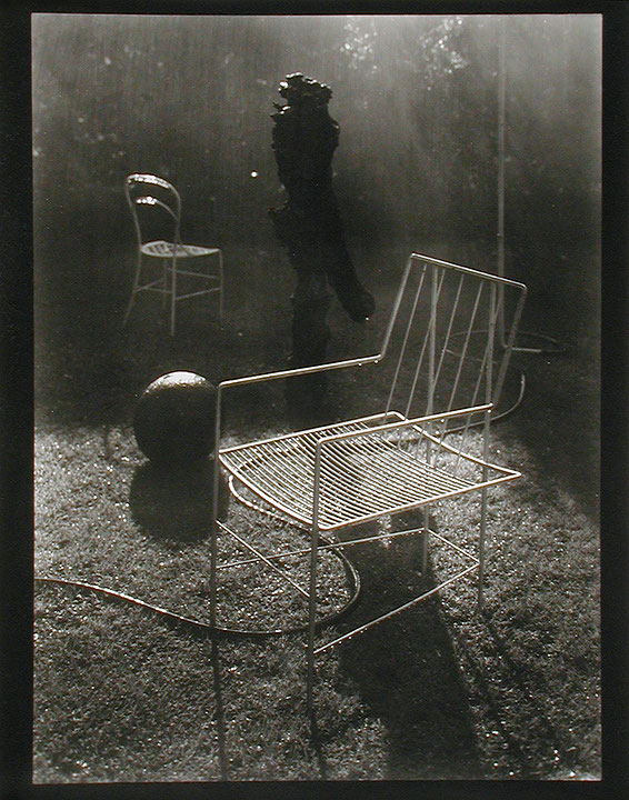 Photo de l’œuvre Sans titre (tirée de l’album « Josef Sudek », 1977) de Josef Sudek (Afficher en plein écran)