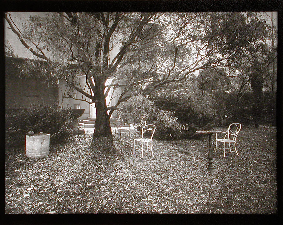 Photo de l’œuvre Le Jardin magique (tirée de l’album « Josef Sudek », 1977) de Josef Sudek (Afficher en plein écran)