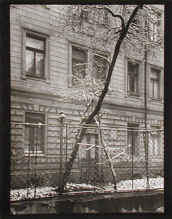 Photo de l’œuvre Dans notre cour (tirée de l’album « Josef Sudek », 1977) de Josef Sudek (Afficher en plein écran)