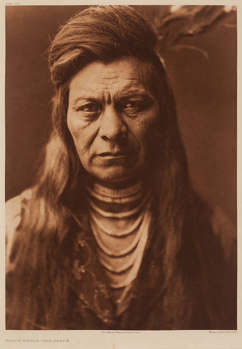 Photo de l’œuvre Black Eagle - Nez Percé de Edward Sheriff Curtis (Afficher en plein écran)