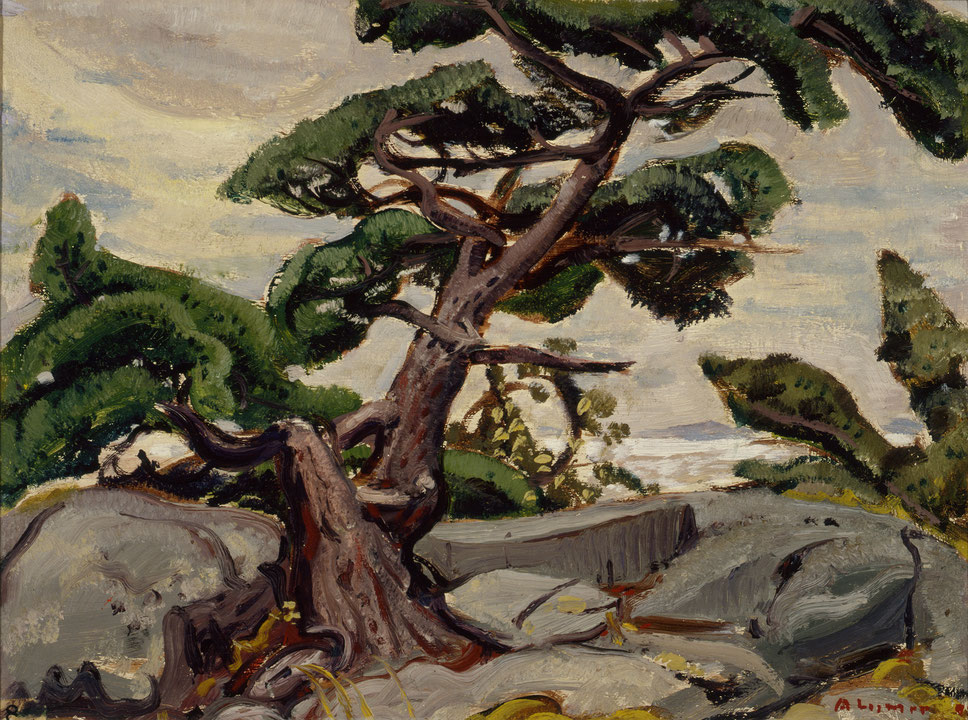 Photo de l’œuvre Rock and Old Pines, Georgian Bay de Arthur Lismer (Afficher en plein écran)