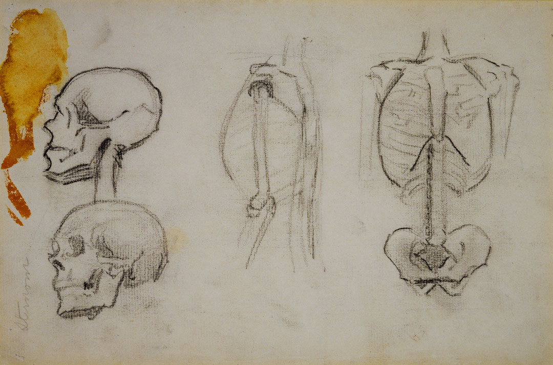 Photo de l’œuvre Étude anatomique de Paul-Émile Borduas (Afficher en plein écran)