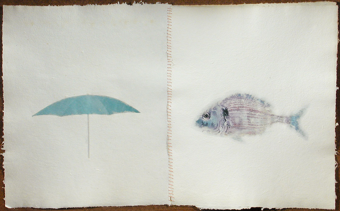 Photo de l’œuvre Parasol pour dorade de Dominique Blain (Afficher en plein écran)