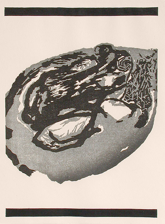 Photo de l’œuvre Sans titre (tirée de l’album « Conversations with a Toad », 1987) de Lucie Lambert (Afficher en plein écran)