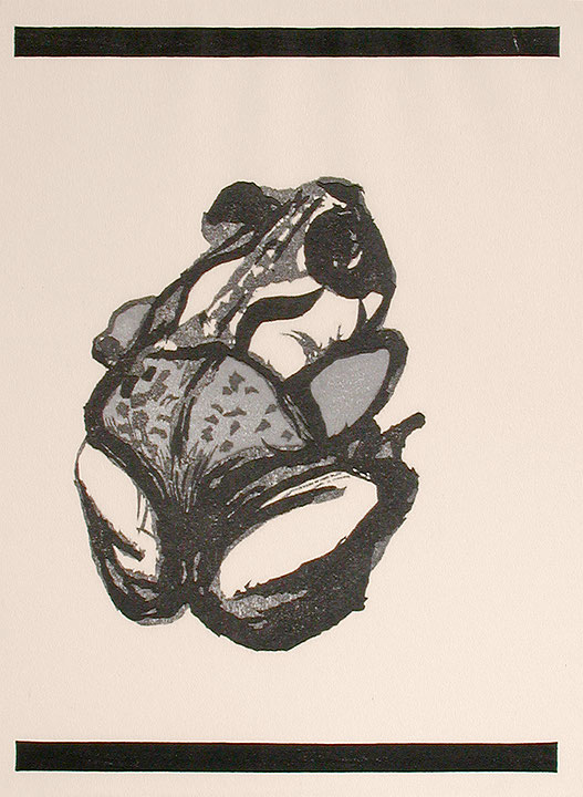 Photo de l’œuvre Sans titre (tirée de l’album « Conversations with a Toad », 1987) de Lucie Lambert (Afficher en plein écran)