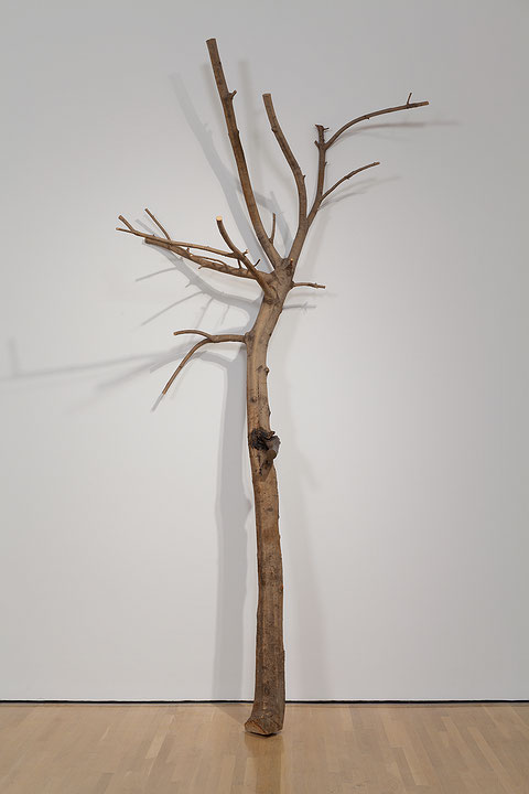 Photographie couleur représentant un arbre dénudé, taillé et coupé, posé contre un mur blanc. Une main en fer est incrustée dans le tronc. (Afficher en plein écran)