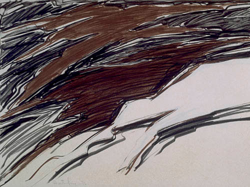 Photo de l’œuvre [Deux tons de brun] de Jacques Hurtubise (Afficher en plein écran)