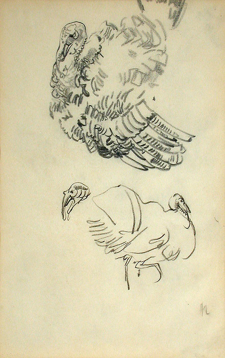 Photo de l’œuvre Wild Turkey de Arthur Lismer (Afficher en plein écran)