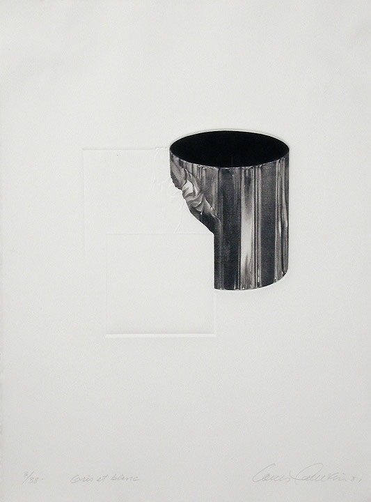 Photo de l’œuvre Gris et blanc de Louis Pelletier (Afficher en plein écran)