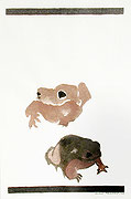 Photo de l’œuvre Deux grenouilles de Lucie Lambert