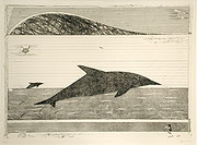 Photo de l’œuvre Dolphin de Kent Jones