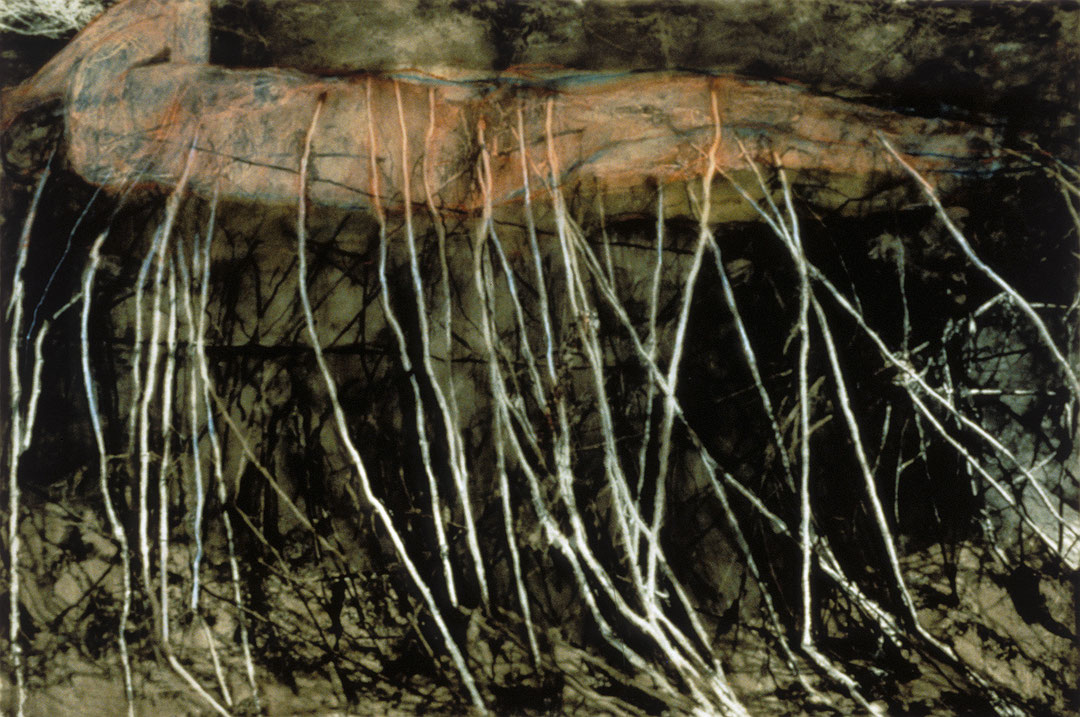 Photo de l’œuvre Untitled (Nerves), No. 5 de Betty Goodwin (Afficher en plein écran)