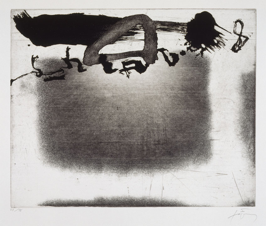 Photo de l’œuvre Panier de Antoni Tàpies (Afficher en plein écran)