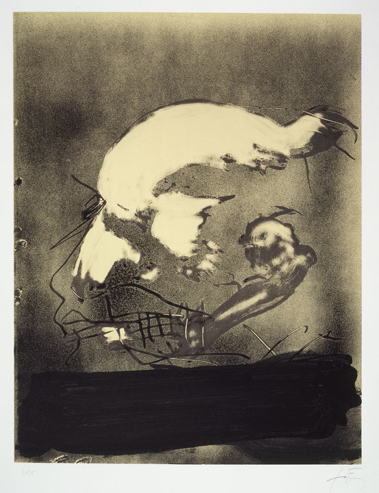 Photo de l’œuvre Profil de Antoni Tàpies (Afficher en plein écran)
