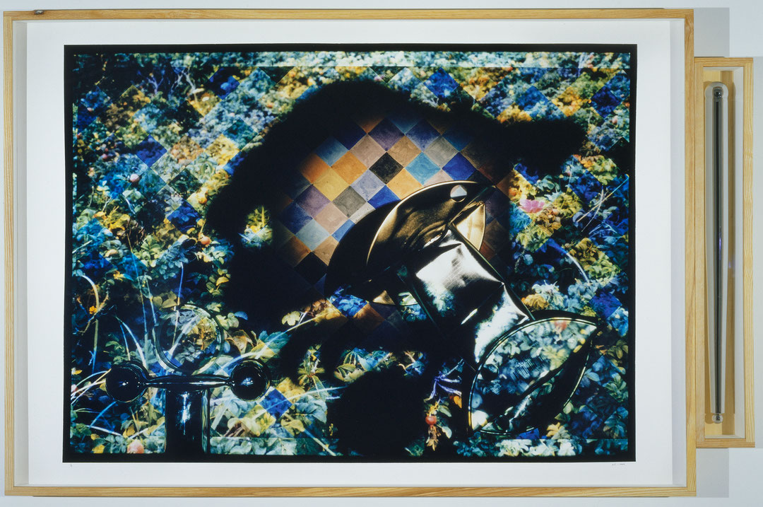 Photo de l’œuvre Jardin no 5 (de la série des « Jardins américains », 1993 - 1994) de Serge Tousignant (Afficher en plein écran)