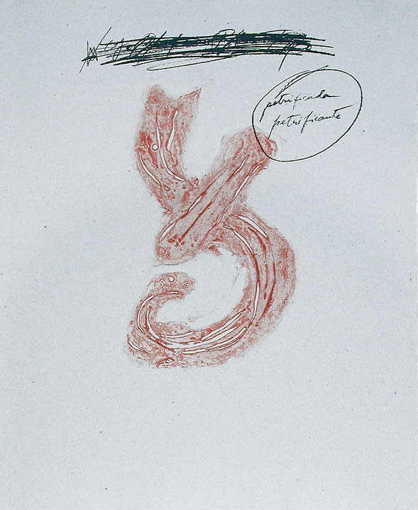 Photo de l’œuvre Sans titre (tirée de l’album « Petrificada Petrificante », 1978) de Antoni Tàpies (Afficher en plein écran)