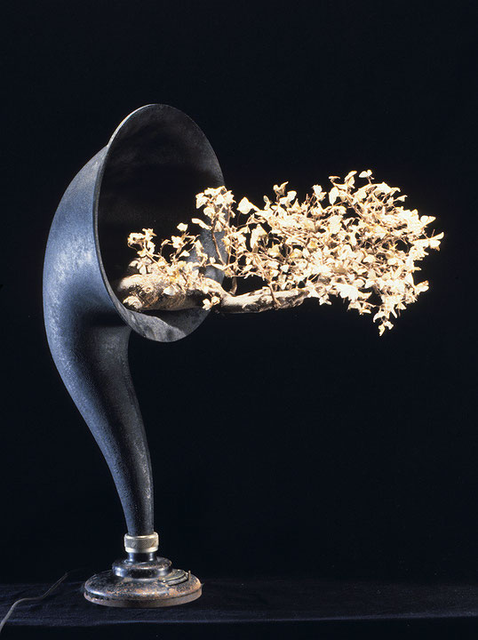 Photo de l’œuvre Radio phonograph horn with bonsai tree and moths de Catherine Widgery (Afficher en plein écran)