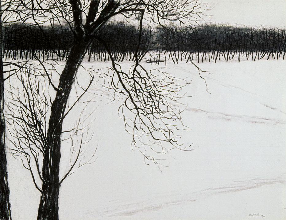 Photo de l’œuvre Sans titre (tiré de l’ensemble « Le Voyage d’hiver ») de Albert Dumouchel (Afficher en plein écran)