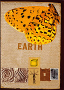 Photo de l’œuvre Earth de Joe Tilson