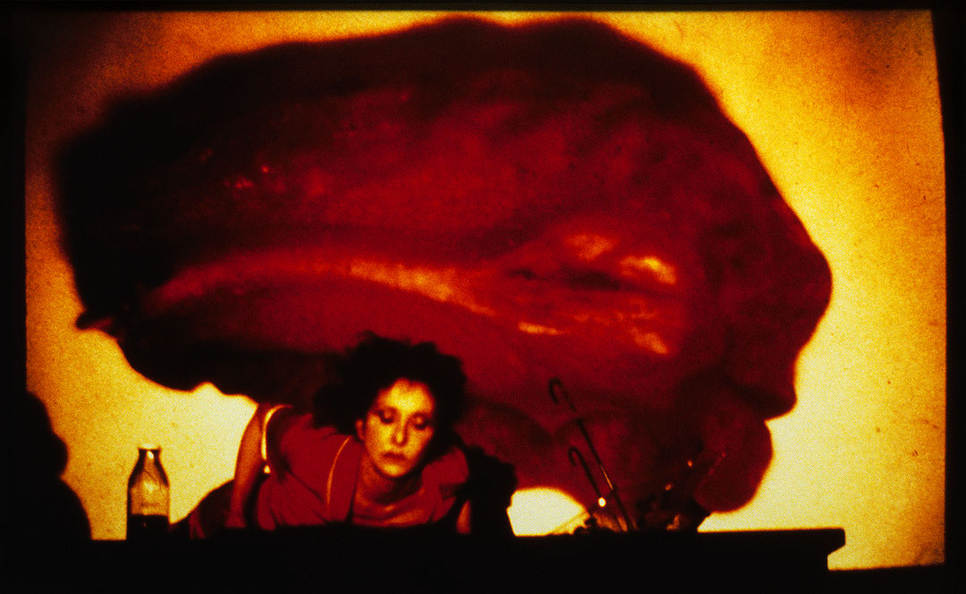 Photo de l’œuvre Fresh Blood: A Dream Morphology de Carolee Schneemann (Afficher en plein écran)
