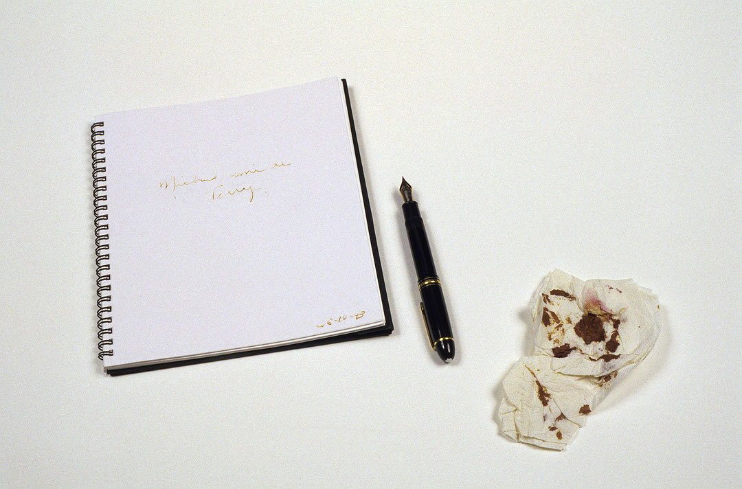 Photographie couleur en plan rapproché d’un cahier à reliure spirale ouvert, d’une plume fontaine et d’une serviette de papier taché, posés sur une surface blanche. (Afficher en plein écran)