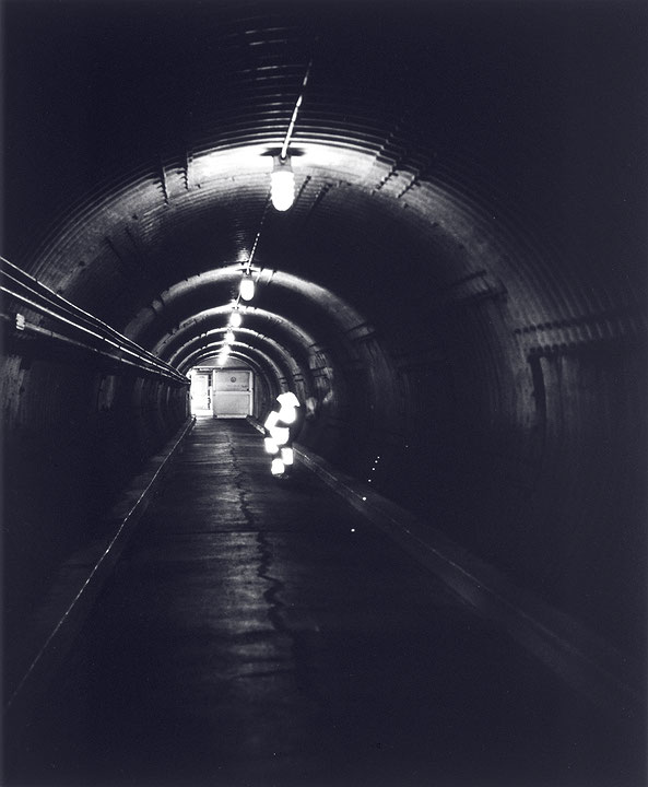 Photo de l’œuvre Irradiations, no 1 à no 5 de Denis Farley (Afficher en plein écran)