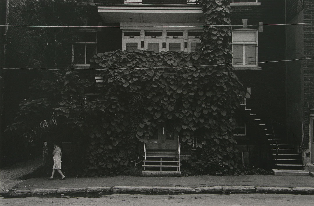 Photo de l’œuvre Femme et plantes grimpantes - Montréal de Charles Gagnon (Afficher en plein écran)