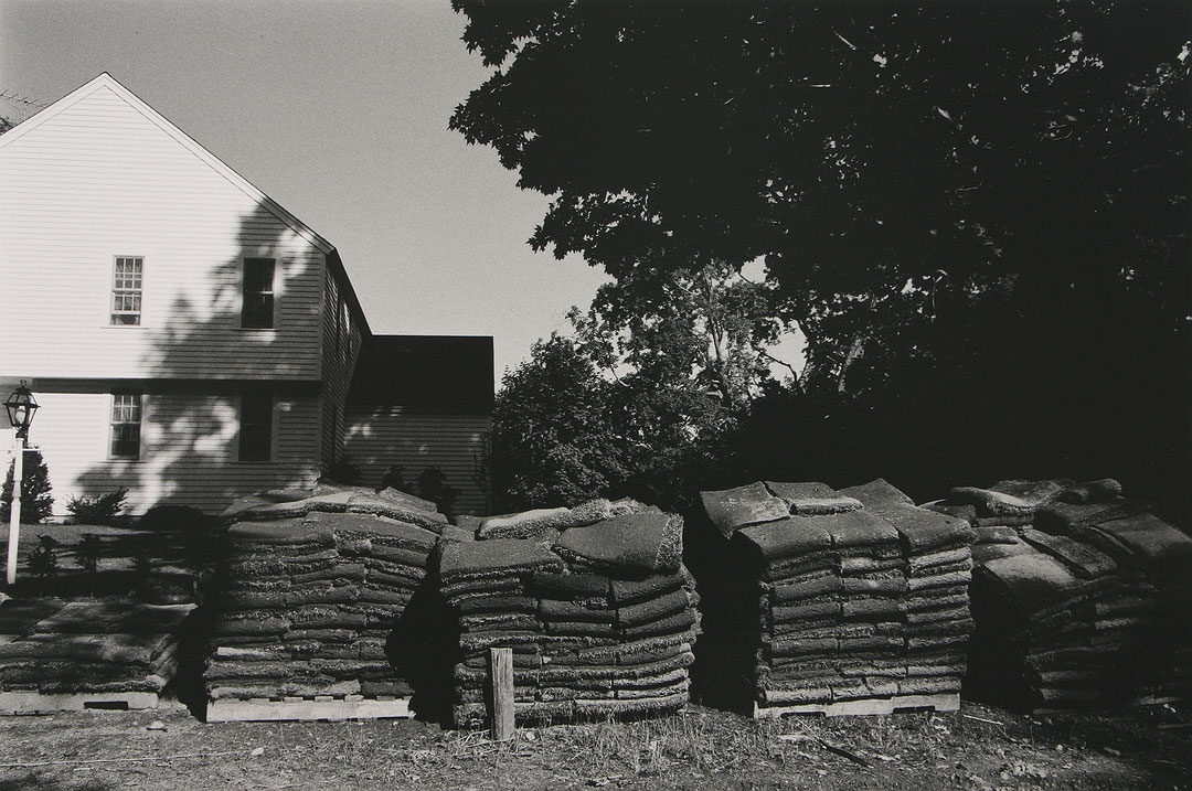 Photo de l’œuvre Tourbe - Norfolk, Connecticut de Charles Gagnon (Afficher en plein écran)