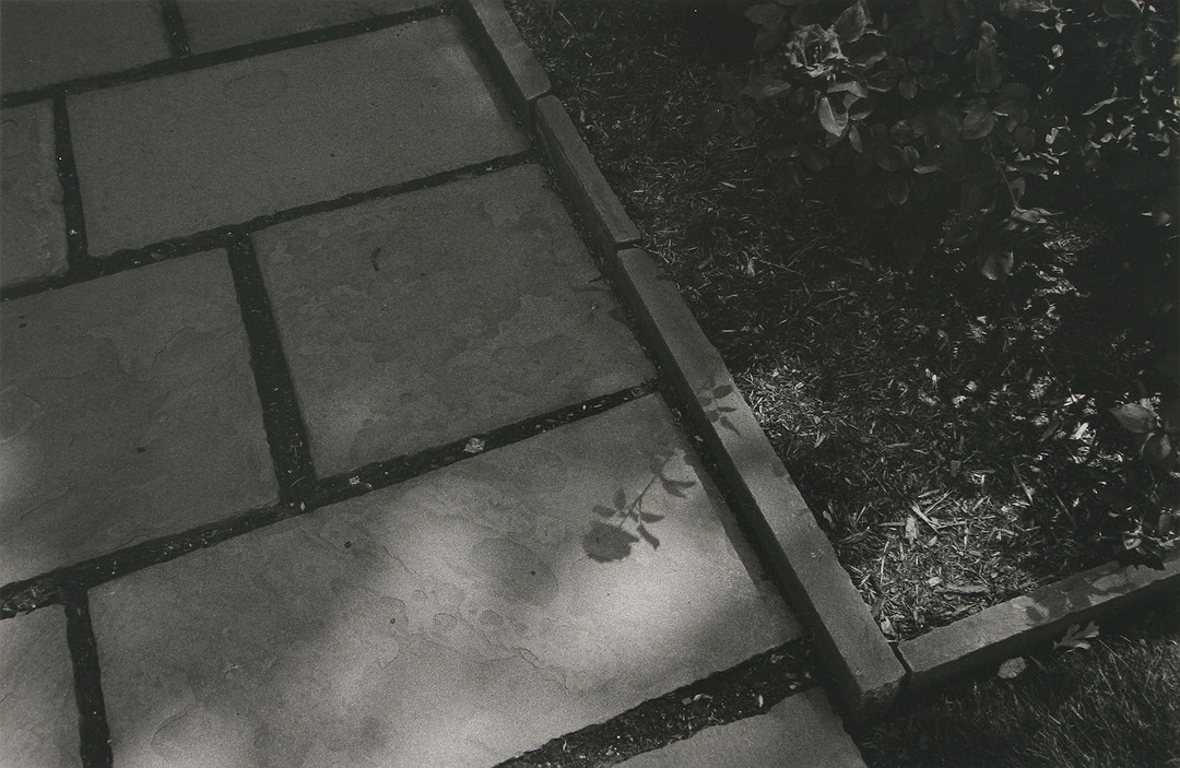 Photo de l’œuvre Jardin Dumbarton Oaks - Washington, D.C. de Charles Gagnon (Afficher en plein écran)