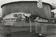 Photo de l’œuvre Animaux peints et clôture - Maine, U.S.A. de Charles Gagnon