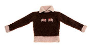 Photo de l’œuvre Sweater de Aganetha Dyck