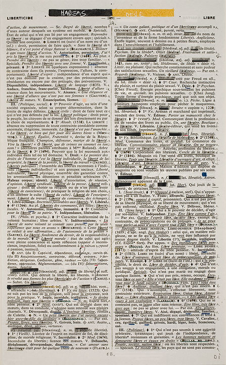 Photo de l’œuvre Page-miroir (LIBERTICIDE - 1091 - LIBRE) de Rober Racine (Afficher en plein écran)