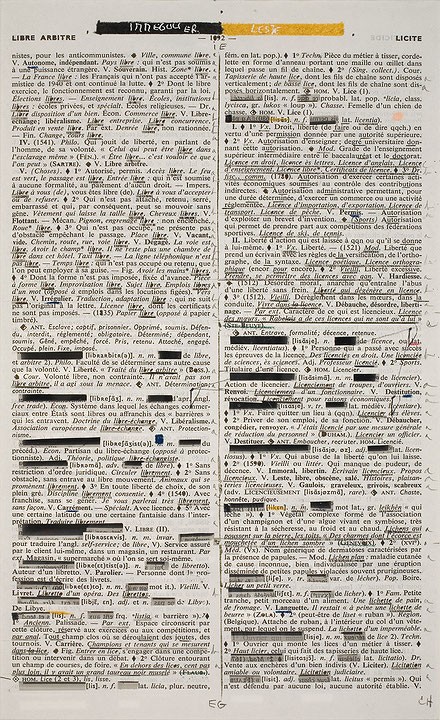 Photo de l’œuvre Page-miroir (LIBRE ARBITRE - 1092 - LICITE) de Rober Racine (Afficher en plein écran)