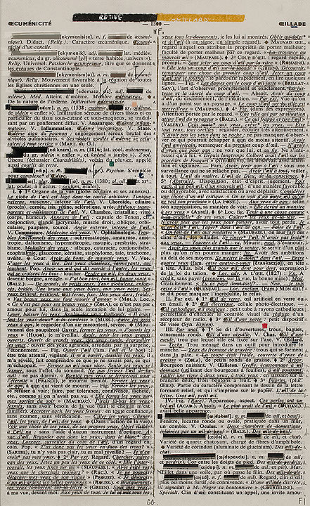 Photo de l’œuvre Page-miroir (OECUMÉNICITÉ - 1300 - ŒILLADE) de Rober Racine (Afficher en plein écran)