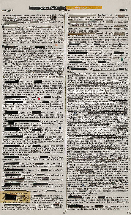 Photo de l’œuvre Page-miroir (ŒILLARD - 1301 - OEUVÉ) de Rober Racine (Afficher en plein écran)