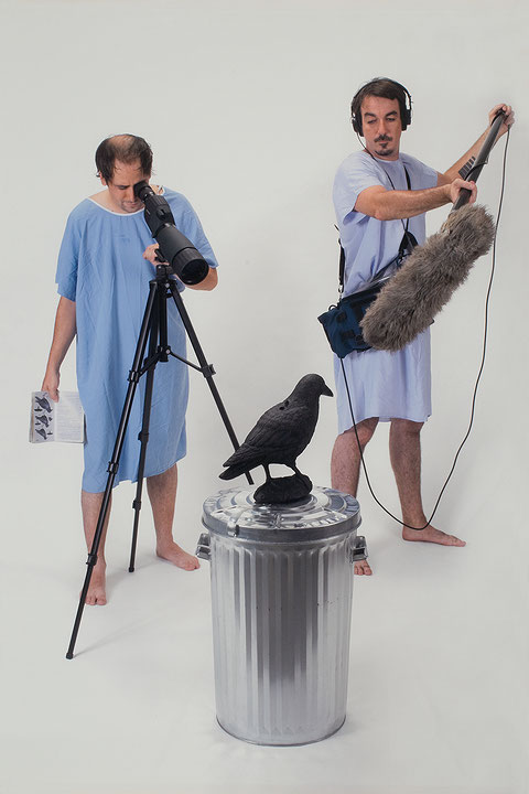 Photo de l’œuvre Parlez-en à votre médecin, Cooke-Sasseville : observation grand corbeau de Cooke-Sasseville (Afficher en plein écran)