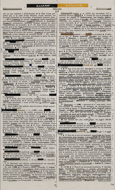 Photo de l’œuvre Page-miroir (ALGARADE - NÉBULEUX) de Rober Racine (Afficher en plein écran)