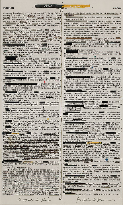 Photo de l’œuvre Page-miroir (PLUVIAN - 1465 - POCHE) de Rober Racine (Afficher en plein écran)