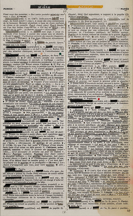 Photo de l’œuvre Page-miroir (PUNCH - 1567 - PURÉE) de Rober Racine (Afficher en plein écran)