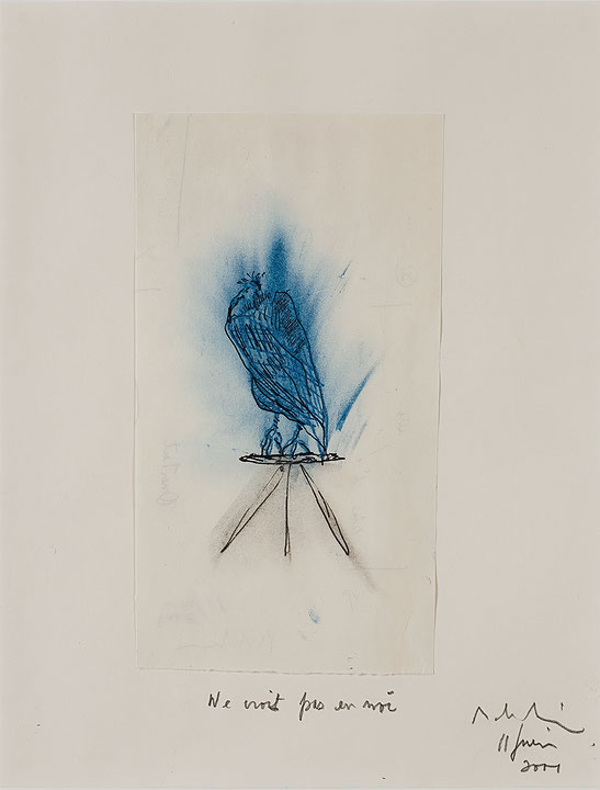Photo de l’œuvre Vautour no 25 de Rober Racine (Afficher en plein écran)