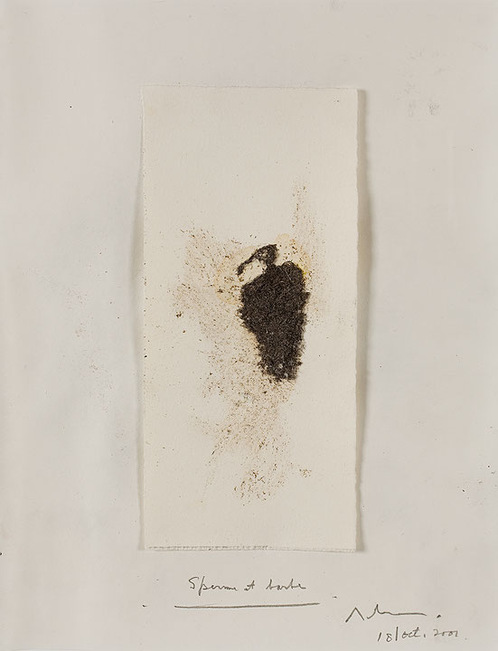 Photo de l’œuvre Vautour no 61 de Rober Racine (Afficher en plein écran)