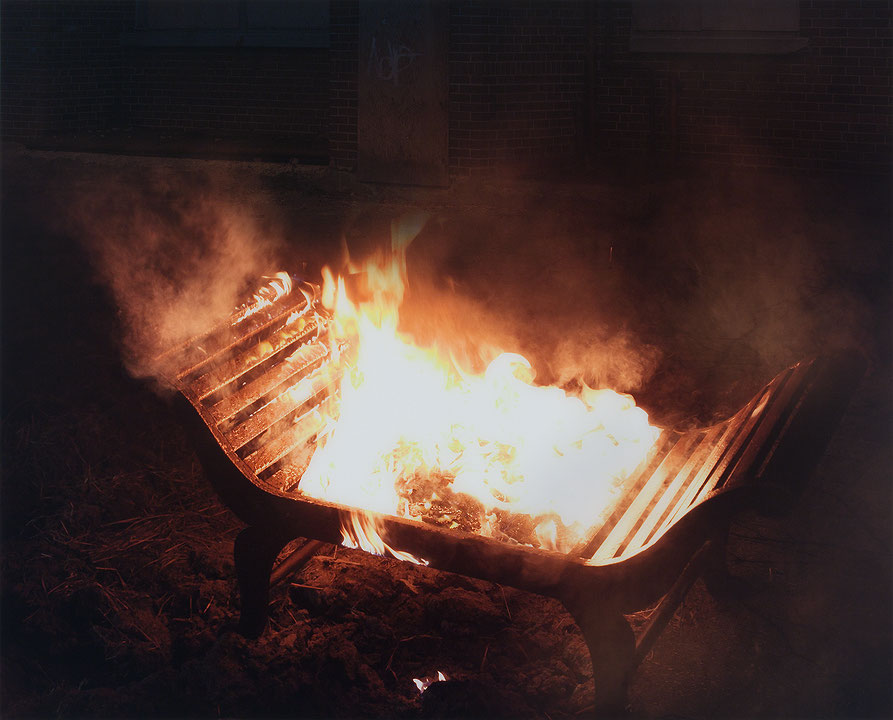 Photo de l’œuvre Fire with Fire de Isabelle Hayeur (Afficher en plein écran)