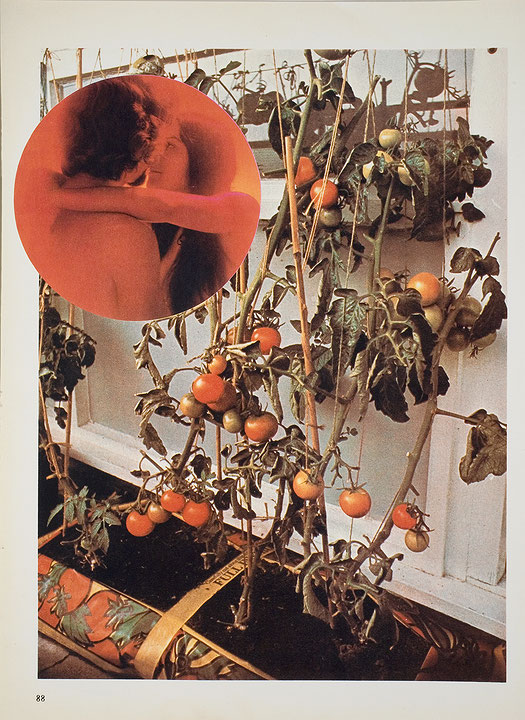 Photo de l’œuvre The Tomato Lovers de Wade Guyton (Afficher en plein écran)
