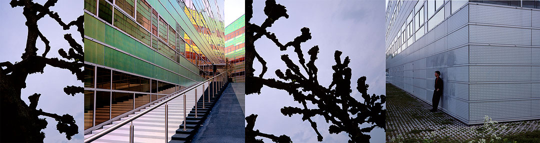 Photo de l’œuvre Déplacements, Édifice La Défense, Almere, Pays-Bas de Denis Farley (Afficher en plein écran)
