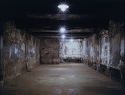 Photo de l’œuvre Gas Chamber No 1, Auschwitz de Carlos & Jason Sanchez