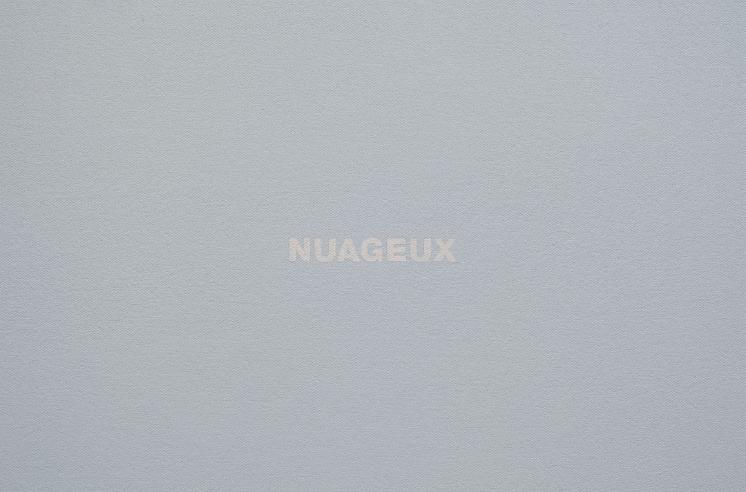Photo de l’œuvre Nuageux (28.06.1999-28.05.2000) de Francine Savard (Afficher en plein écran)